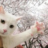 其实我是个很懒