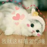somij