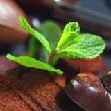 认真的人最帅