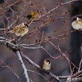 钱小离