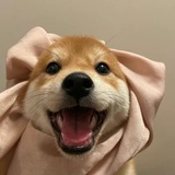 玲玲子