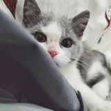 whySoserious