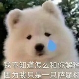 说走就走！