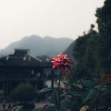 我想开了
