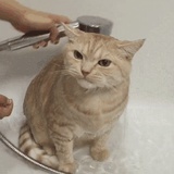 帕柏珀