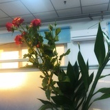 大师兄来了