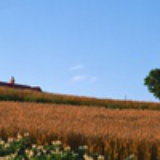 ll