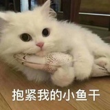 Mitori大人