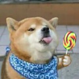 江湖骗子要还愿