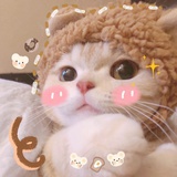 PINKTIAN