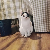 整点票子