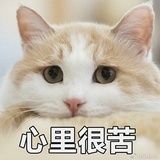豆包