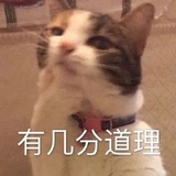 鸠鸠