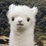 沉鱼落雁的小🐰🐰