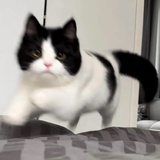 就来