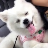 大吉