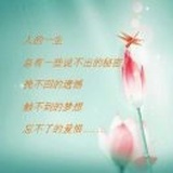 青青子衿