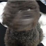 丹枫
