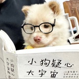 等一只小尾巴