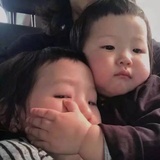 没有感情的马甲