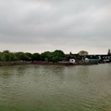 飘来荡去