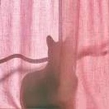 春泛若耶溪