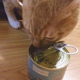 小猪猪妈咪