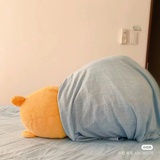 哎哎哎呀
