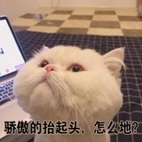 吃饱了撑的