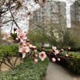 王寅