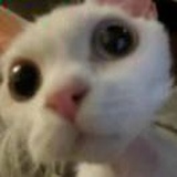 太极