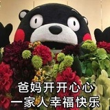 你的兔子猫