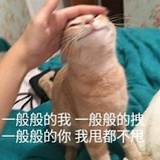 我辈猫人