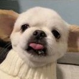 哇呀呀