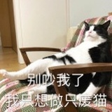 废喵