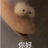 你好