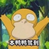 亲爱的糖豆豆