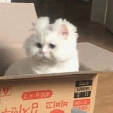倾斜