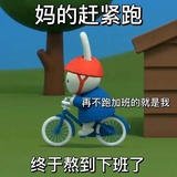 豆友207563425