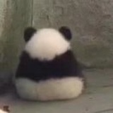 山药