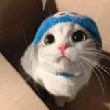 小葵