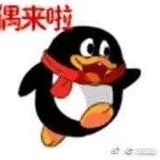酱酱酿酿
