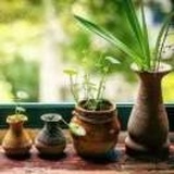 法制博览