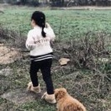 毛毛虫