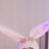 仙鹤儿
