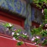 净春🌿