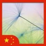听风语