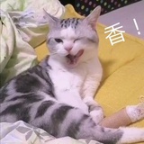 时中之冰