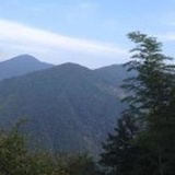 飞翔