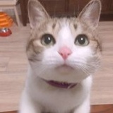 黑眼圈